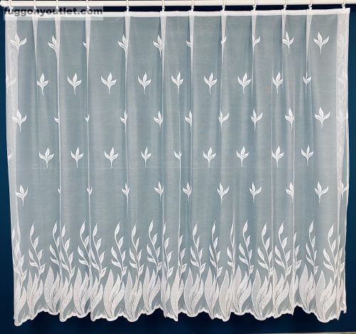 Kardvirág, fehér, 300x155 cm